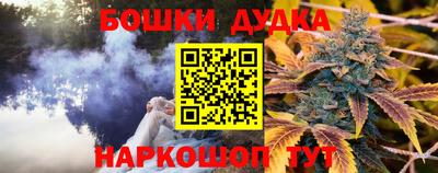apvp Гусиноозёрск